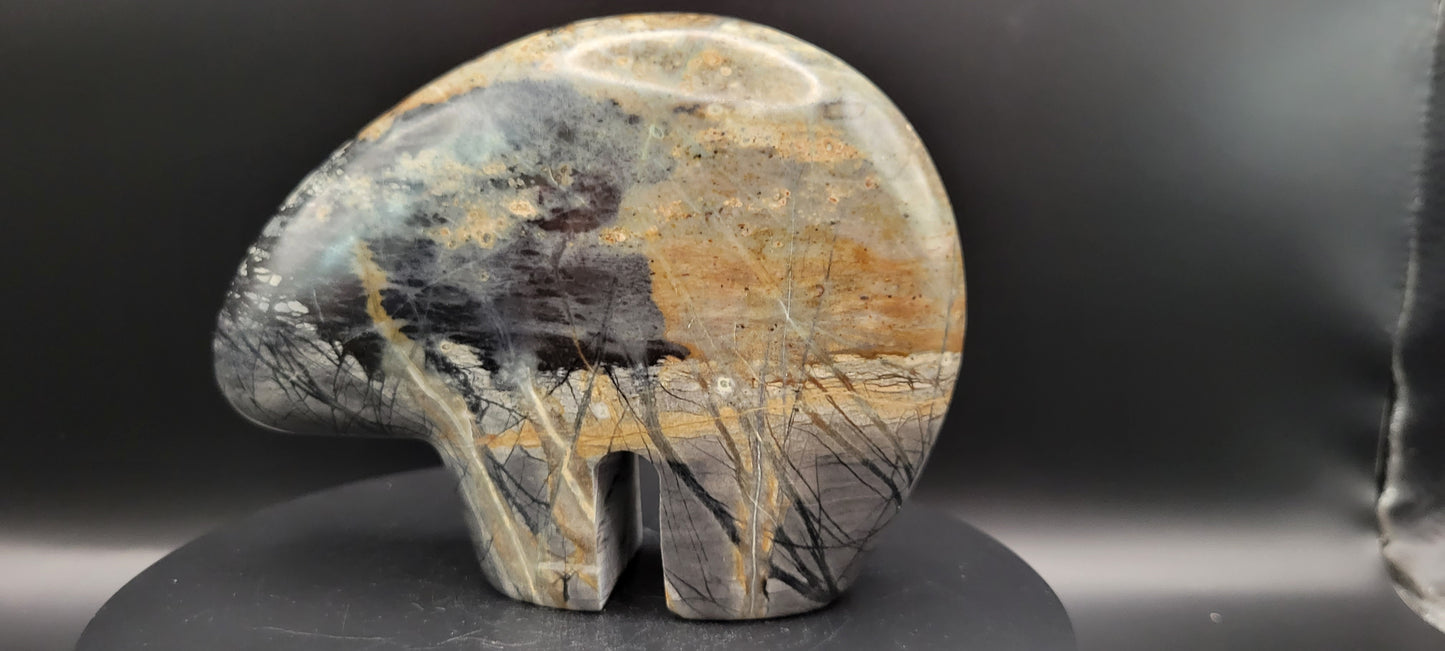 Picasso Jasper Bear B