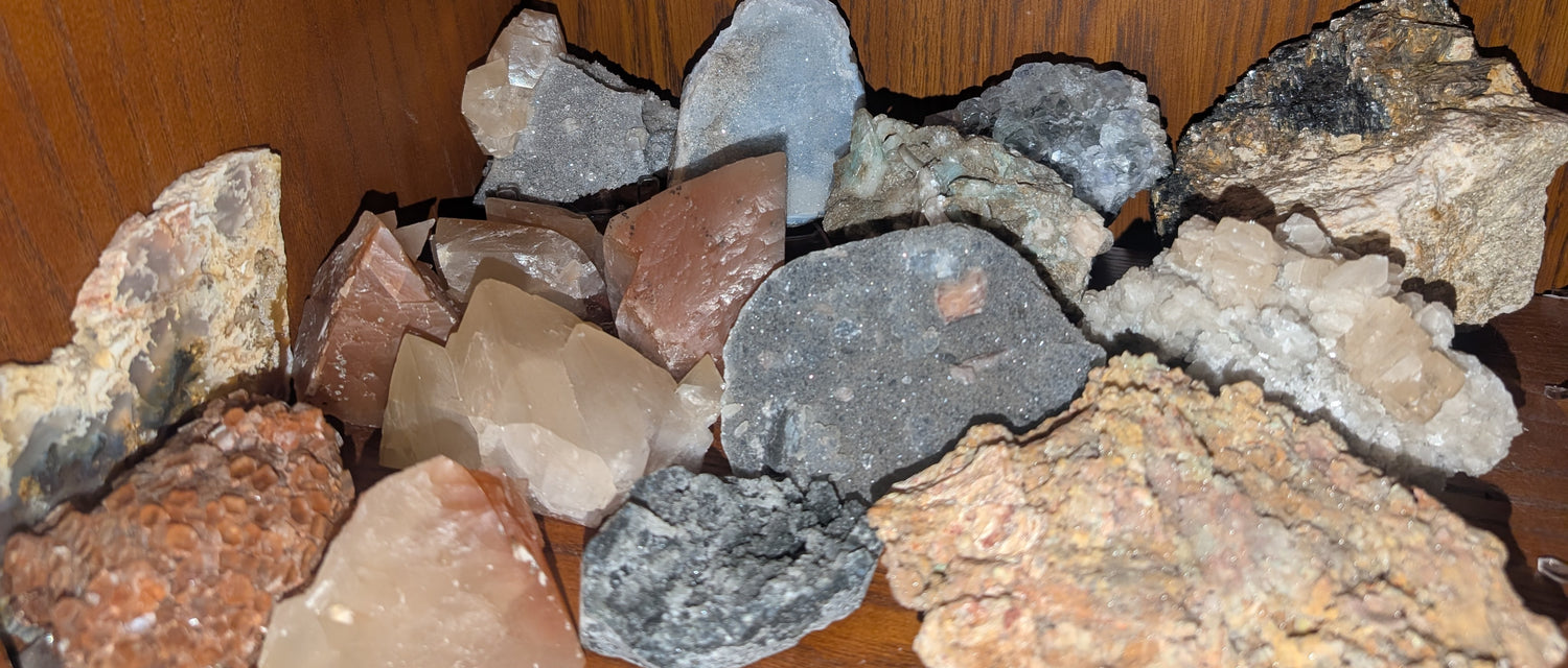 Specimens