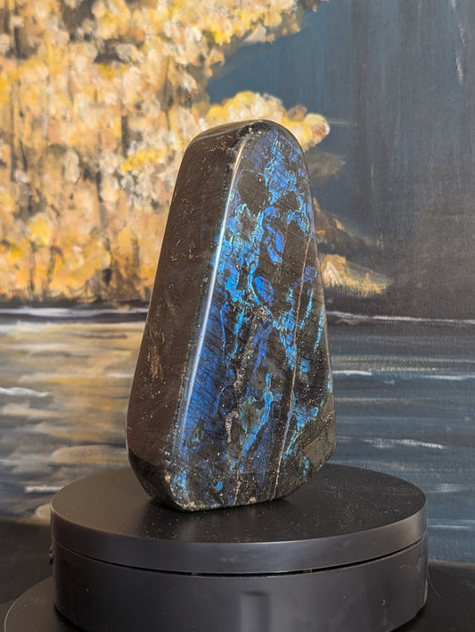 Labradorite Freeform LA