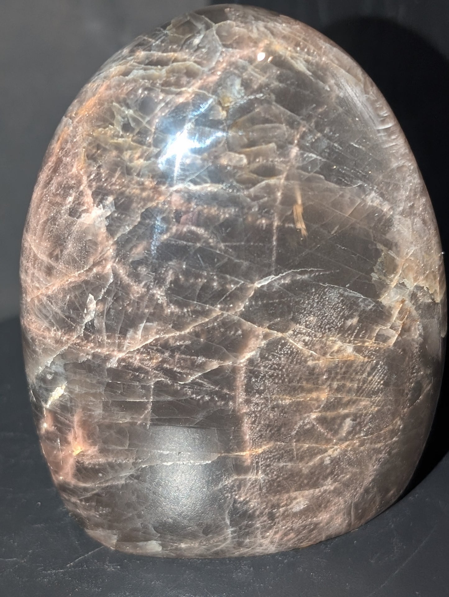 High Quality Black Moonstone Freeform