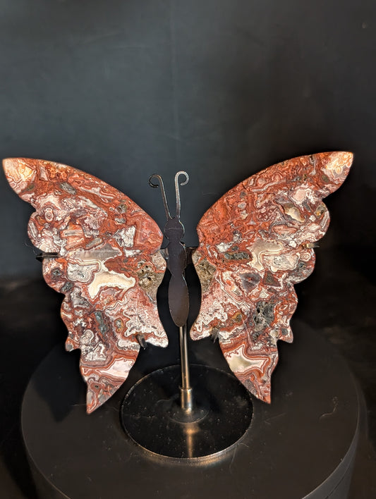 Butterfly Wings in Red Crazy Lace
