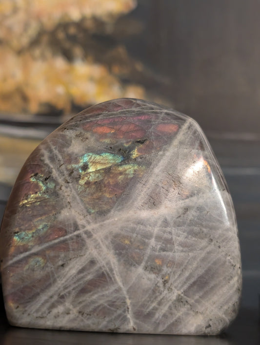 Labradorite Freeform Li